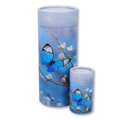 Butterfly Blossom