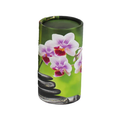 Orchid