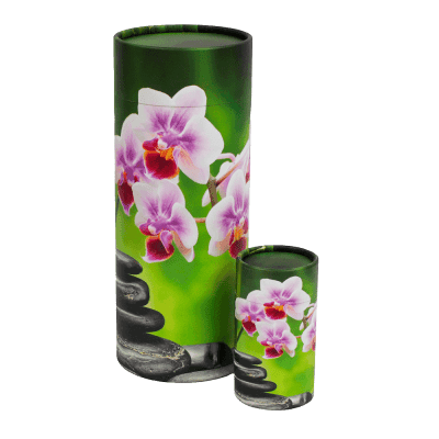 The Orchid