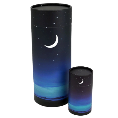 Starry Night