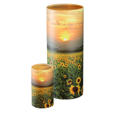 Sunflower Fields